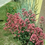 Apartamento In - Balaton 20047