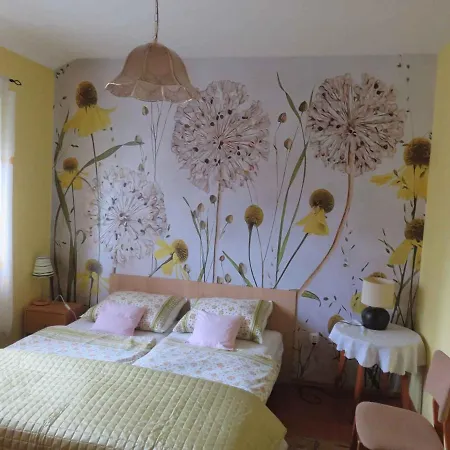 Apartman In Siofok/balaton 20047