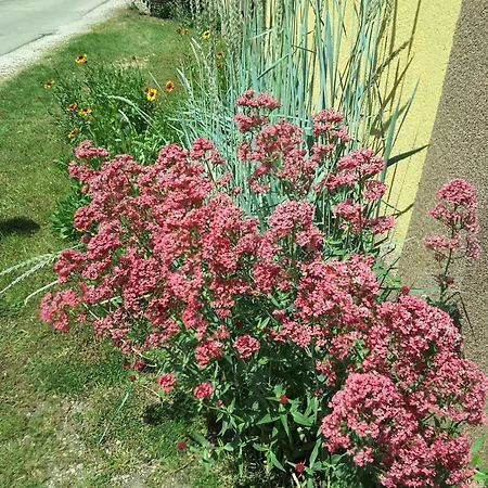 Apartmán In - Balaton 20047