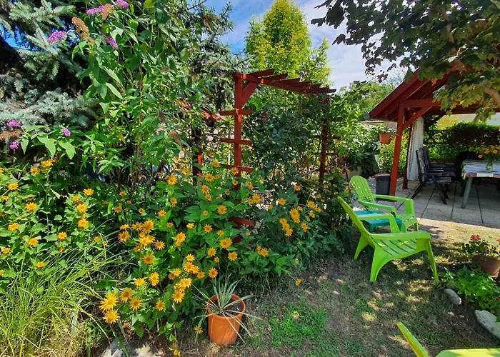 In - Balaton 20047 Siófok