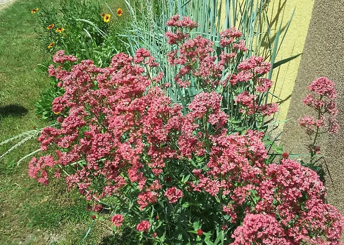 Lejlighed In - Balaton 20047