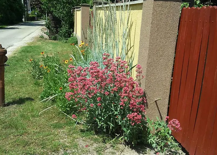 Lejlighed In - Balaton 20047